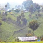 AFC/M23 yongeye gufata agace ka Kazinga muri Territoire ya Masisi