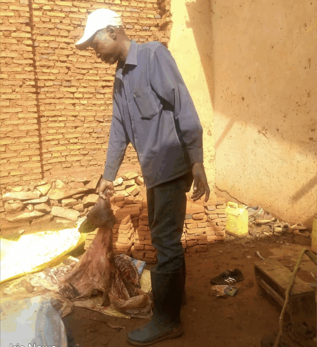 Screenshot_20260212-091038