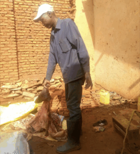 Screenshot_20260212-091038