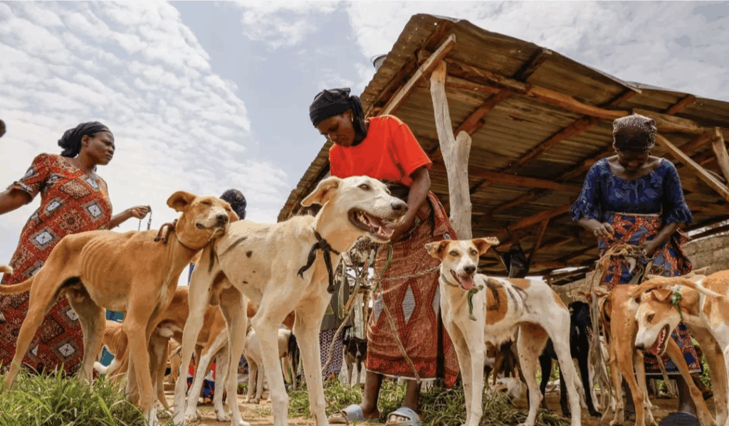 Screenshot_20260224-085813