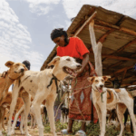 Nigeria niyo iza ku mwanya wa mbere mu kurya imbwa muri Afurika
