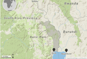 gemini_generated_image_1e5du1e5du1e5du1-2-6cef7