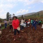 Gicumbi: Ubuyobozi bw’Akarere bwifatanyije n’abaturage mu gutangiza igihembwe cy’ihinga cya 2026/2027